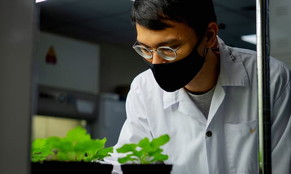 【深度專題】AI 幫我們從植物中找藥！Nanyang Biologics：用 AI＋自然加速新藥開發的生技新創